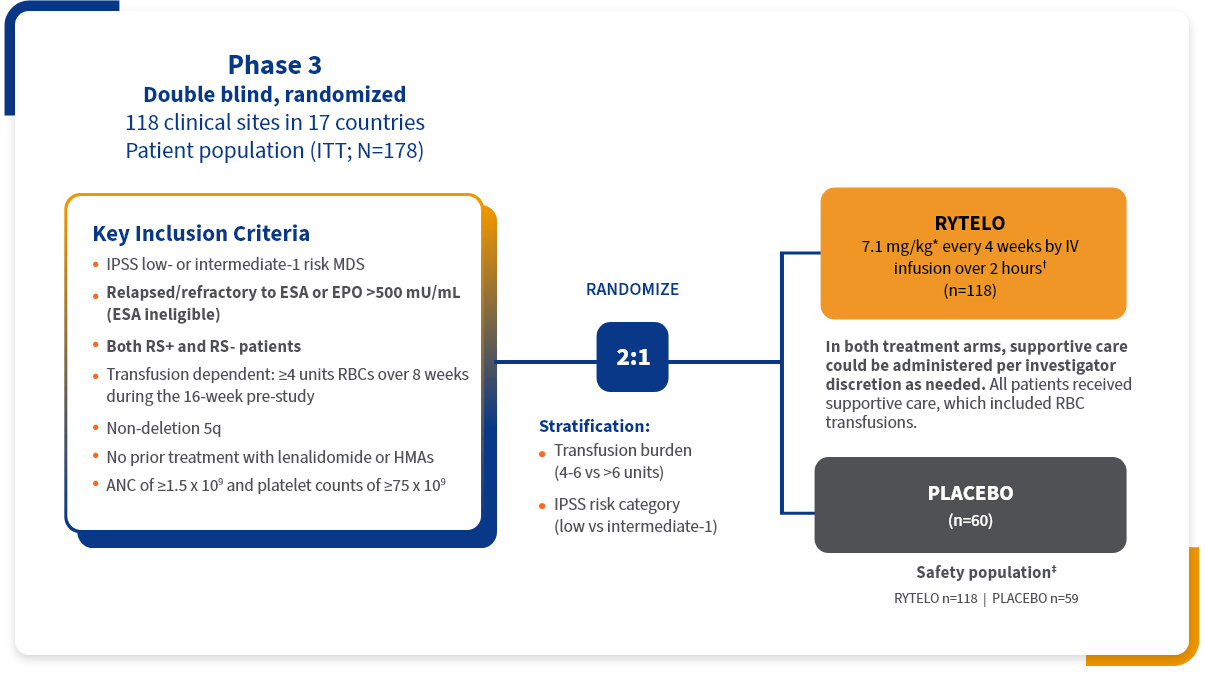 Graphic of the IMerge phase 3 clinical trial design.