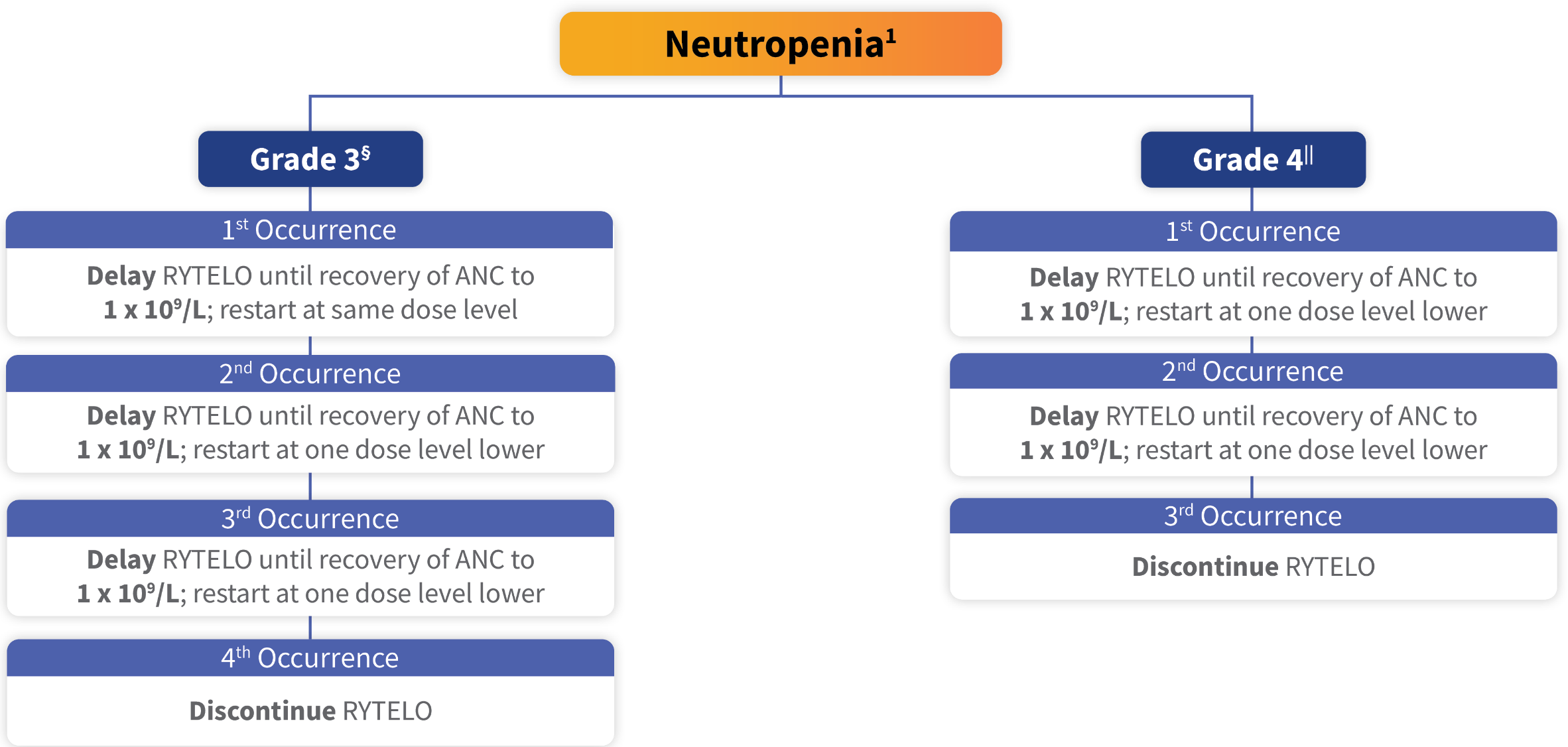 Flow chart diagram of dose modifications for neutropenia.