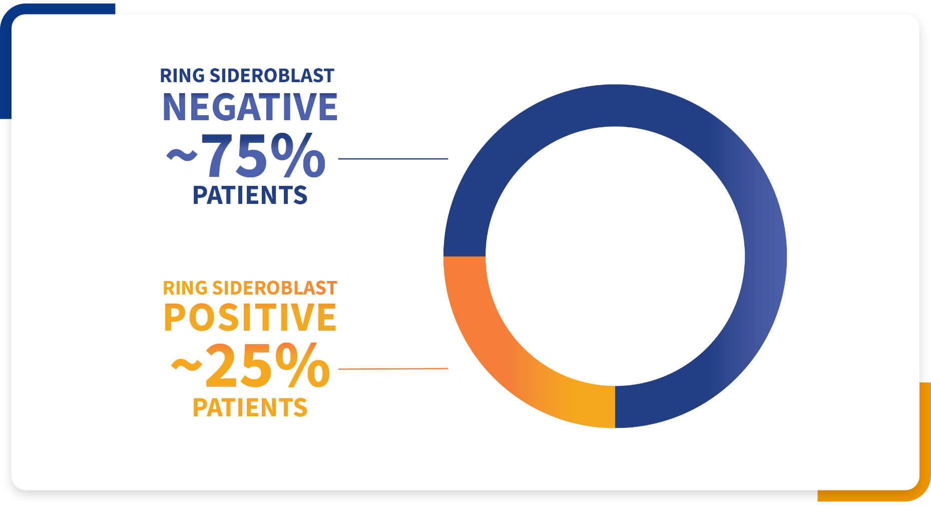Pie chart graphic showing 75% ring sideroblast negative and 25% ring sideroblast positive.